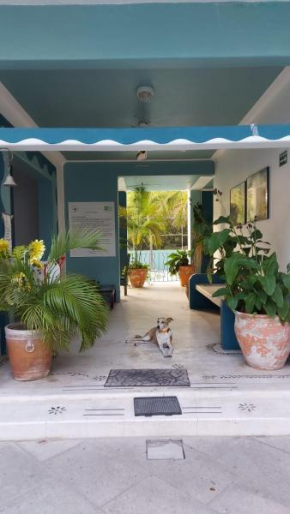 Delphinus Inn